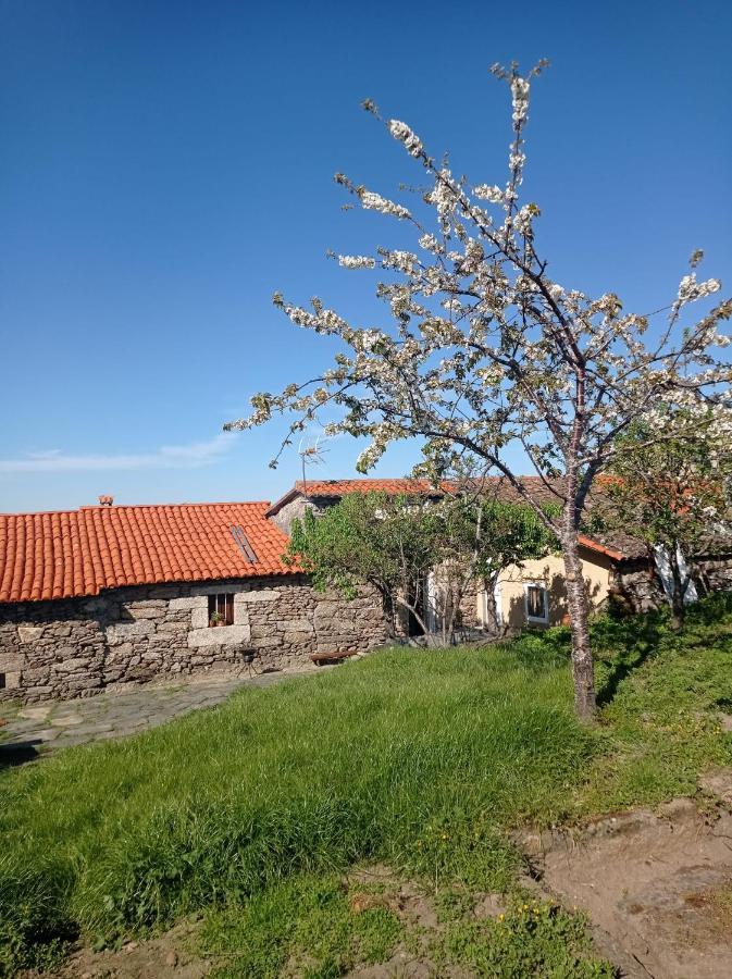 Balcon De San Caetano Lägenhet Cristosende Exteriör bild